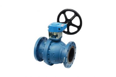 Globe Valve